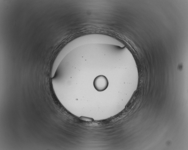X0000116850513201001191643
