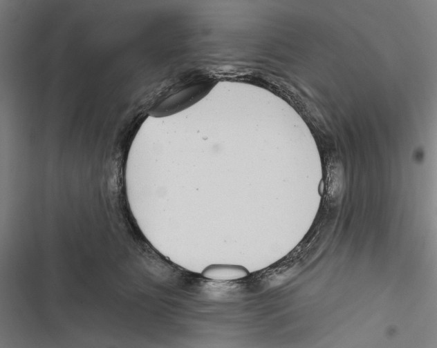 X0000116850515201001191643