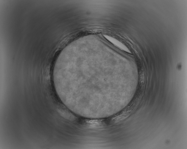 X0000116850516201001191643