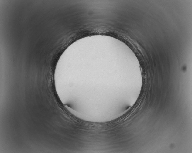 X0000116850517201001191643