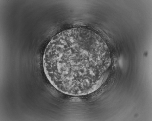 X0000116850519201001191643