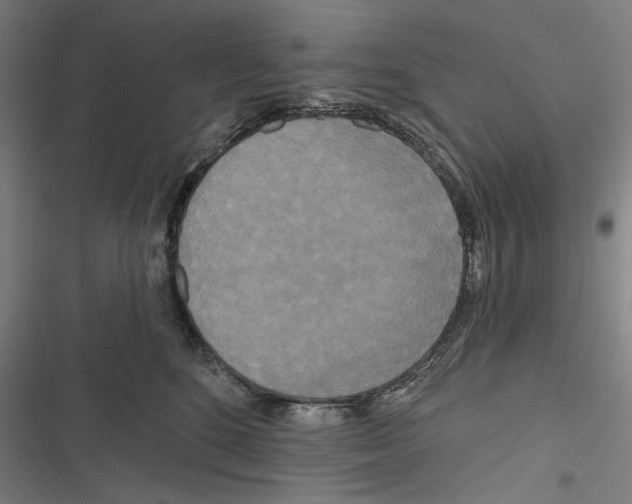 X0000116850520201001191643