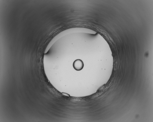 X0000116850521201001191643