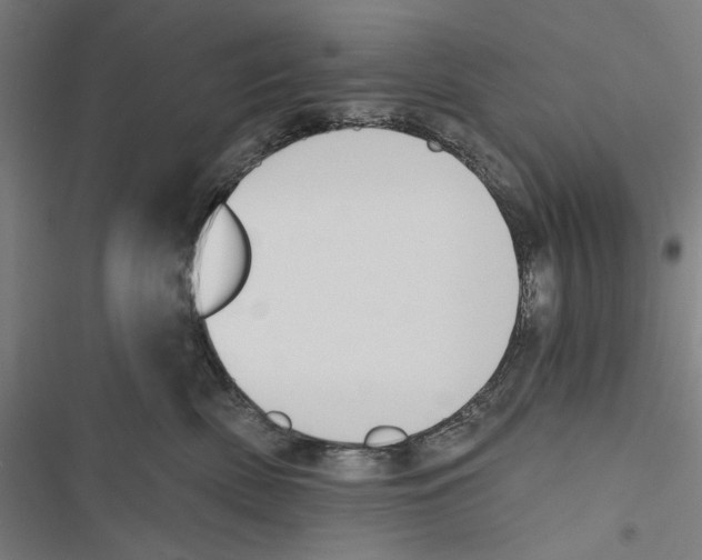 X0000116850522201001191643