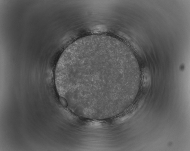 X0000116850523201001191643