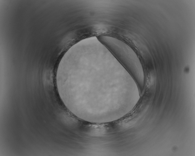 X0000116850524201001191643