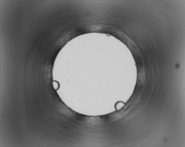 X0000116850525201001191643