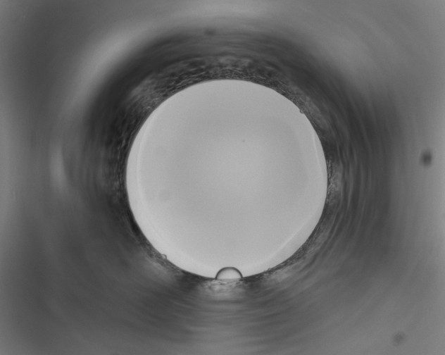 X0000116850526201001191643