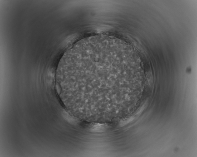 X0000116850527201001191643