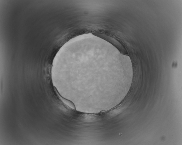 X0000116850528201001191643