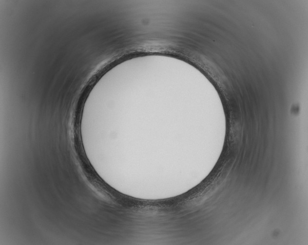 X0000116850530201001191642