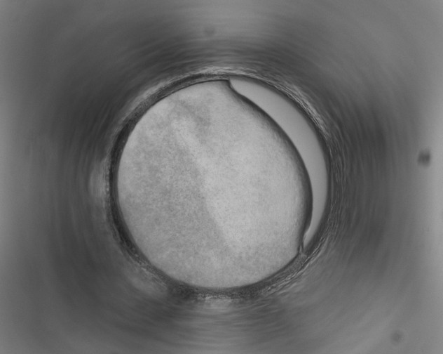 X0000116850531201001191642