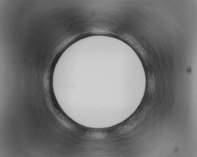 X0000116850533201001191642