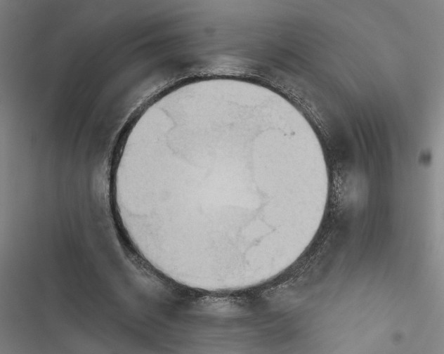 X0000116850534201001191642