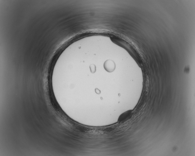 X0000116850535201001191642