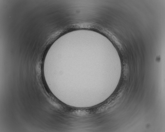 X0000116850537201001191642