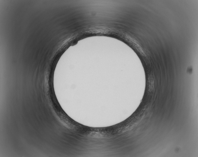 X0000116850538201001191642