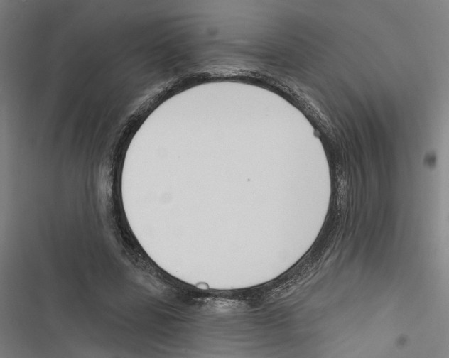 X0000116850539201001191642