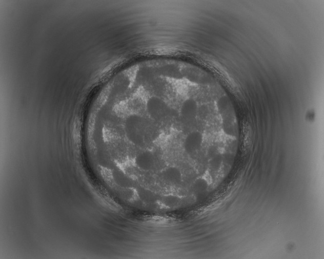 X0000116850542201001191642