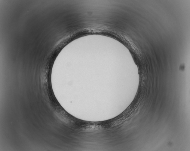 X0000116850543201001191642