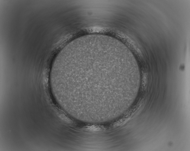 X0000116850545201001191642
