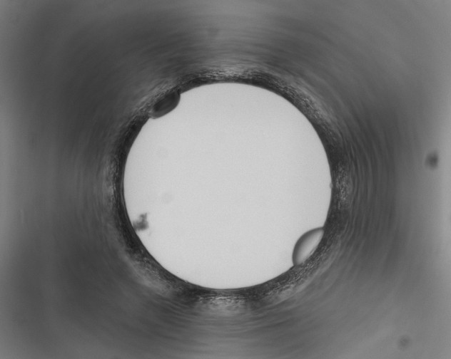 X0000116850546201001191642