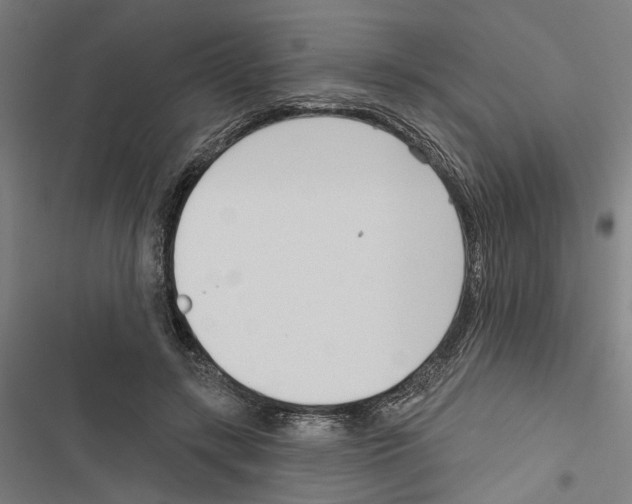X0000116850547201001191642