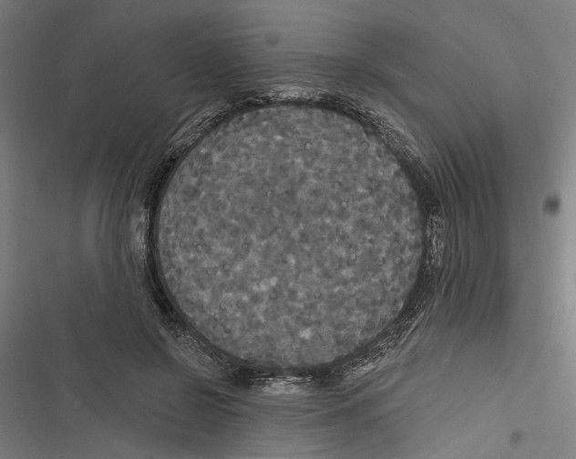 X0000116850550201001191642