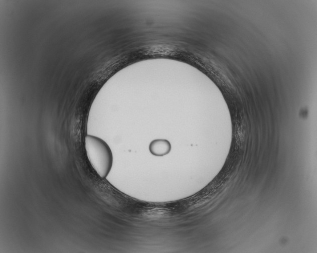 X0000116850551201001191642