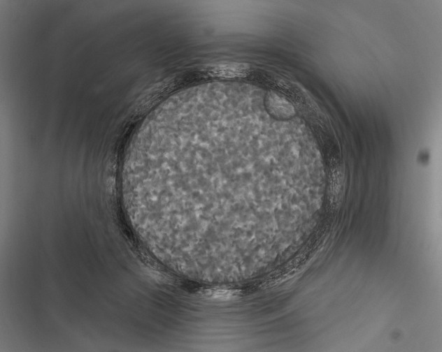 X0000116850553201001191643