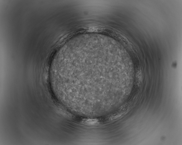 X0000116850554201001191643