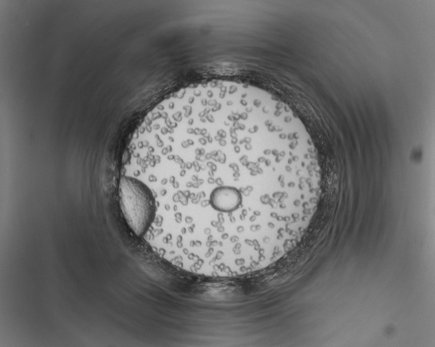X0000116850555201001191643