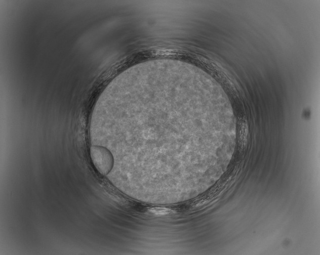 X0000116850557201001191643