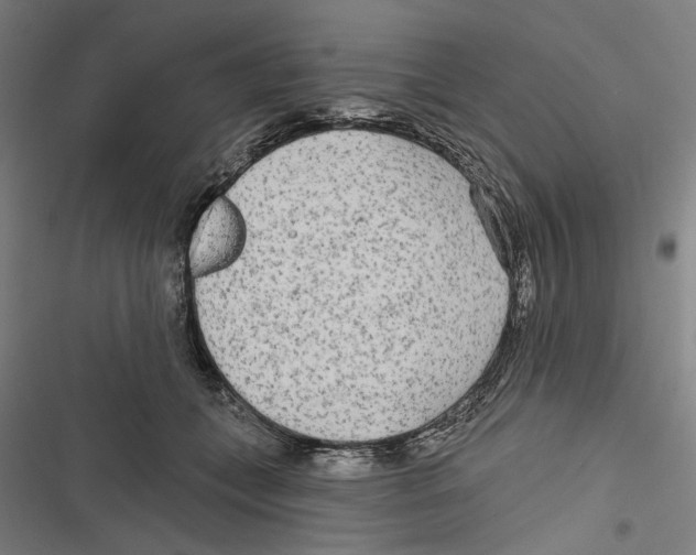 X0000116850559201001191643
