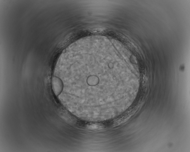 X0000116850561201001191643