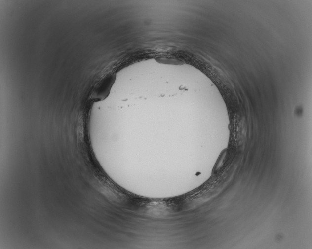 X0000116850562201001191643