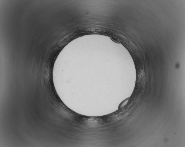 X0000116850566201001191643