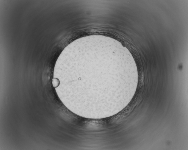 X0000116850567201001191643