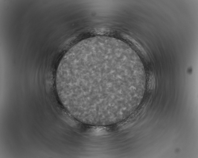 X0000116850569201001191643