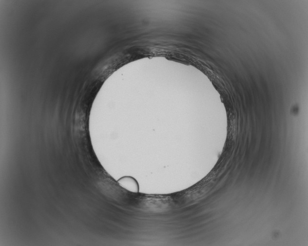 X0000116850571201001191643