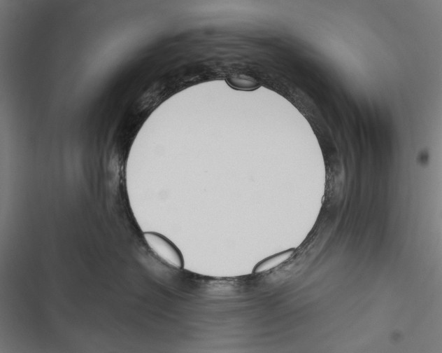 X0000116850574201001191643