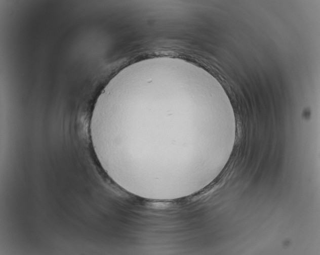 X0000116850575201001191643