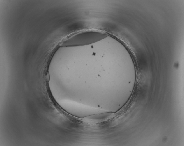X0000116850577201001191642