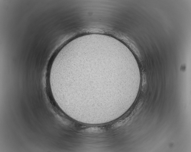 X0000116850578201001191642