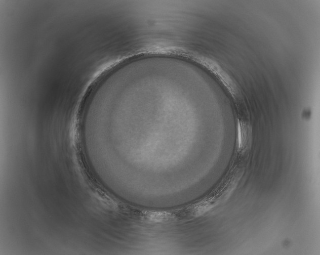 X0000116850579201001191642