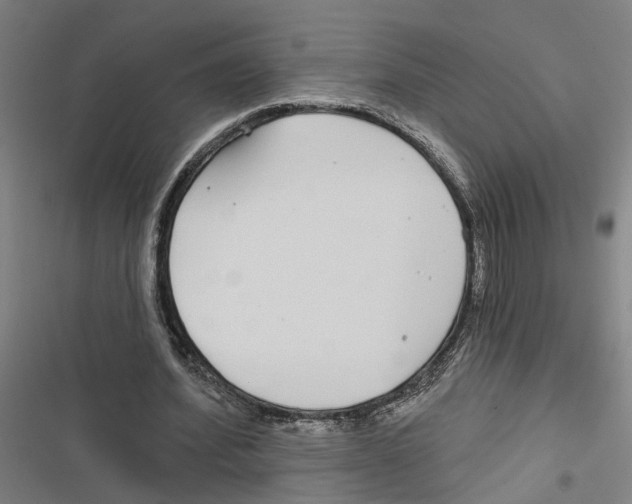 X0000116850580201001191642