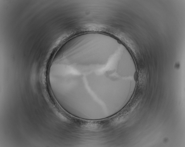 X0000116850581201001191642