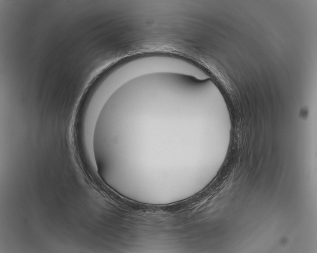 X0000116850583201001191642