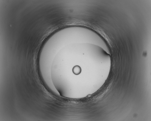 X0000116850585201001191642