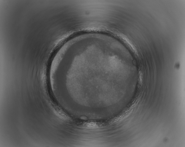 X0000116850588201001191642